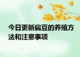 今日更新扁豆的养殖方法和注意事项