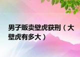 男子贩卖壁虎获刑（大壁虎有多大）