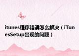 itunes程序错误怎么解决（iTunesSetup出现的问题）