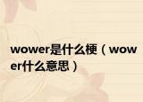 wower是什么梗（wower什么意思）