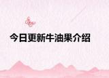 今日更新牛油果介绍