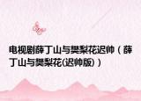 电视剧薛丁山与樊梨花迟帅（薛丁山与樊梨花(迟帅版)）