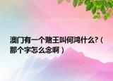 澳门有一个赌王叫何鸿什么?（那个字怎么念啊）