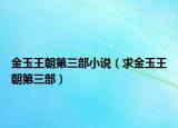 金玉王朝第三部小说（求金玉王朝第三部）