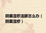 阴囊湿疹流脓怎么办（阴囊湿疹）