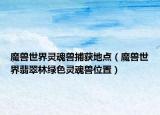 魔兽世界灵魂兽捕获地点（魔兽世界翡翠林绿色灵魂兽位置）