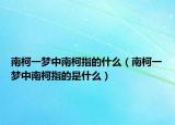 南柯一梦中南柯指的什么（南柯一梦中南柯指的是什么）
