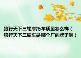 狼行天下三轮摩托车质量怎么样（狼行天下三轮车是哪个厂的牌子啊）