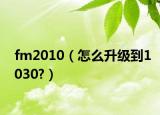 fm2010（怎么升级到1030?）