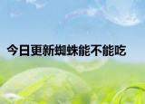 今日更新蜘蛛能不能吃