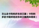 怎么去卡利姆多东部王国（卡利姆多的卡隆林地去东部王国具体路线）