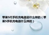 苹果5代手机充电器是什么样的（苹果5手机充电器什么样的）