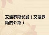 艾波罗斯长发（艾波罗斯的介绍）