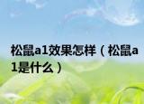 松鼠a1效果怎样（松鼠a1是什么）