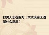 好男人志在四方（大丈夫岂无酒量什么意思）