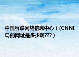 中国互联网络信息中心（(CNNIC)的网址是多少啊???）