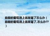 自酿的葡萄酒上面发霉了怎么办（自酿的葡萄酒上面发霉了,怎么办??）