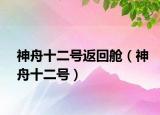 神舟十二号返回舱（神舟十二号）