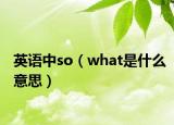 英语中so（what是什么意思）