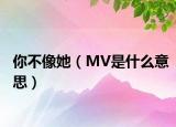 你不像她（MV是什么意思）