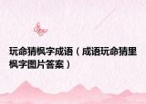 玩命猜枫字成语（成语玩命猜里枫字图片答案）