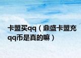 卡盟买qq（鼎盛卡盟充qq币是真的嘛）