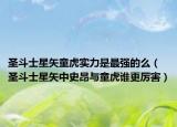 圣斗士星矢童虎实力是最强的么（圣斗士星矢中史昂与童虎谁更厉害）