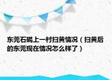 东莞石碣上一村扫黄情况（扫黄后的东莞现在情况怎么样了）