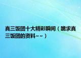 真三饭团十大精彩瞬间（跪求真三饭团的资料~~）