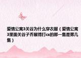 爱情公寓3关谷为什么穿衣服（爱情公寓3里面关谷子乔展博打cs的那一集是第几集）