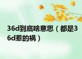 36d到底啥意思（都是36d惹的祸）