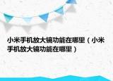 小米手机放大镜功能在哪里（小米手机放大镜功能在哪里）