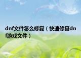dnf文件怎么修复（快速修复dnf游戏文件）