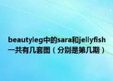beautyleg中的sara和jellyfish一共有几套图（分别是第几期）