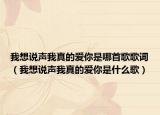 我想说声我真的爱你是哪首歌歌词（我想说声我真的爱你是什么歌）