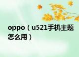 oppo（u521手机主题怎么用）
