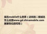 域名mobile什么意思（这样的二级域名怎么设置www.gd.chinamobile.com谢谢各位的经验）