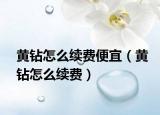 黄钻怎么续费便宜（黄钻怎么续费）