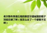 希尔斯布莱德丘陵的敦霍尔德城堡的箱子到底在哪了啊（我怎么去了一个都看不见啊）