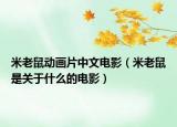 米老鼠动画片中文电影（米老鼠是关于什么的电影）