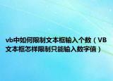 vb中如何限制文本框输入个数（VB文本框怎样限制只能输入数字值）