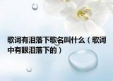 歌词有泪落下歌名叫什么（歌词中有眼泪落下的）