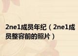 2ne1成员年纪（2ne1成员整容前的照片）