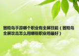 冒险岛手游哪个职业有全屏技能（冒险岛全屏攻击怎么用哪些职业用最好）