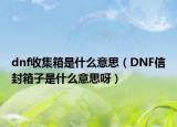 dnf收集箱是什么意思（DNF信封箱子是什么意思呀）