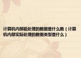 计算机内部能处理的数据是什么数（计算机内部实际处理的数据类型是什么）