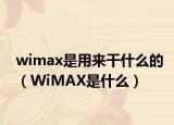 wimax是用来干什么的（WiMAX是什么）