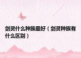 剑灵什么种族最好（剑灵种族有什么区别）