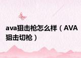 ava狙击枪怎么样（AVA狙击切枪）