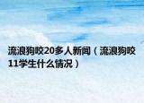 流浪狗咬20多人新闻（流浪狗咬11学生什么情况）